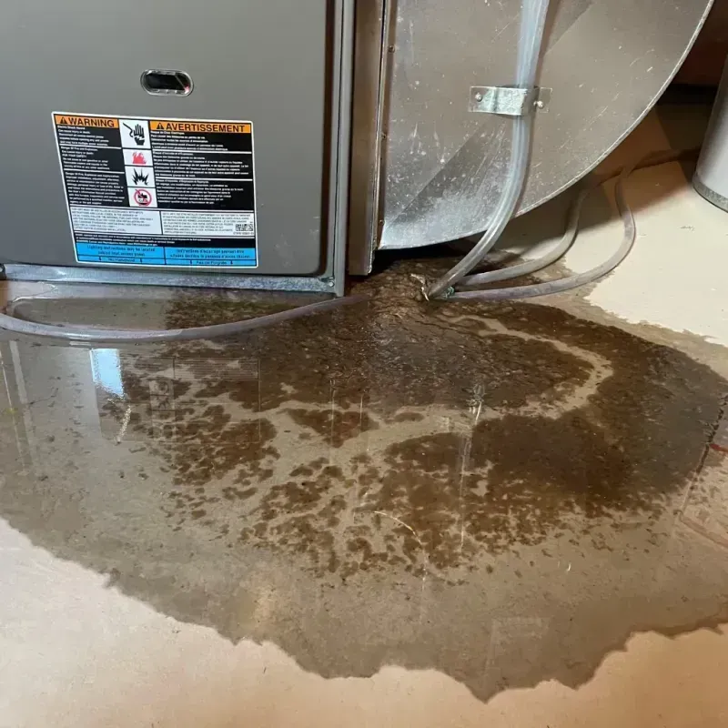 Appliance Leak Cleanup in Antwerp, OH